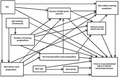 Survival Analysis of Training Methodologies and Other Risk Factors for Musculoskeletal Injury in 2-Year-Old Thoroughbred Racehorses in Queensland, Australia